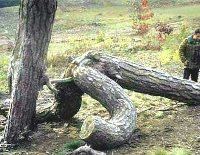 Humour